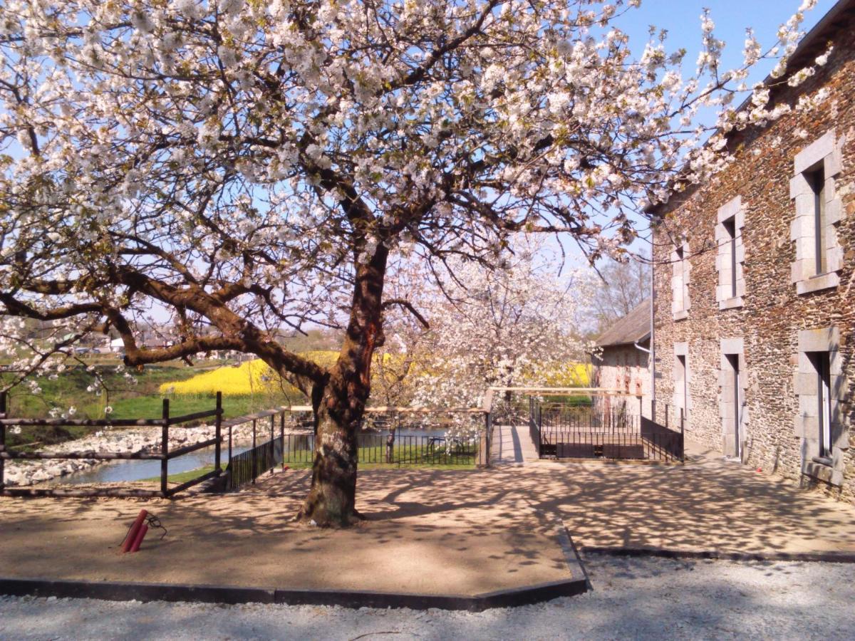 Le Moulin De Bretigneul Bed & Breakfast Saint-Aubin-des-Landes Luaran gambar